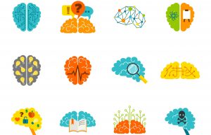 [Pra cego ver] ilustrações multicoloridas representam cérebros humanos em suas diversas atividades